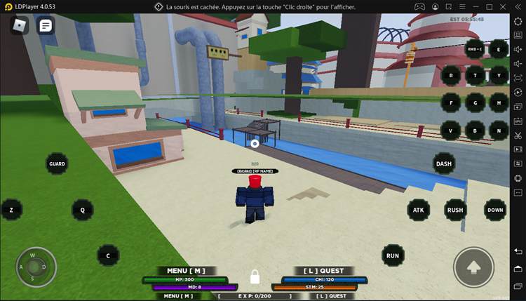 Télécharger Roblox sur PCLDPlayer